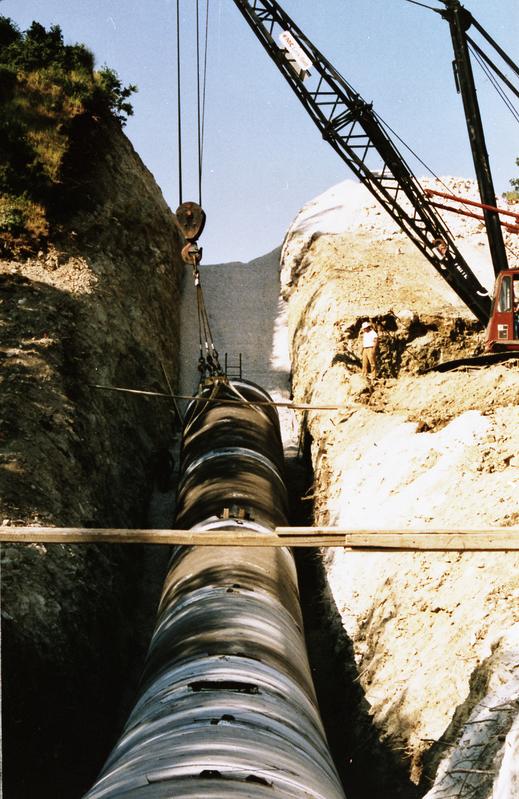 momapix_137150_pos_3