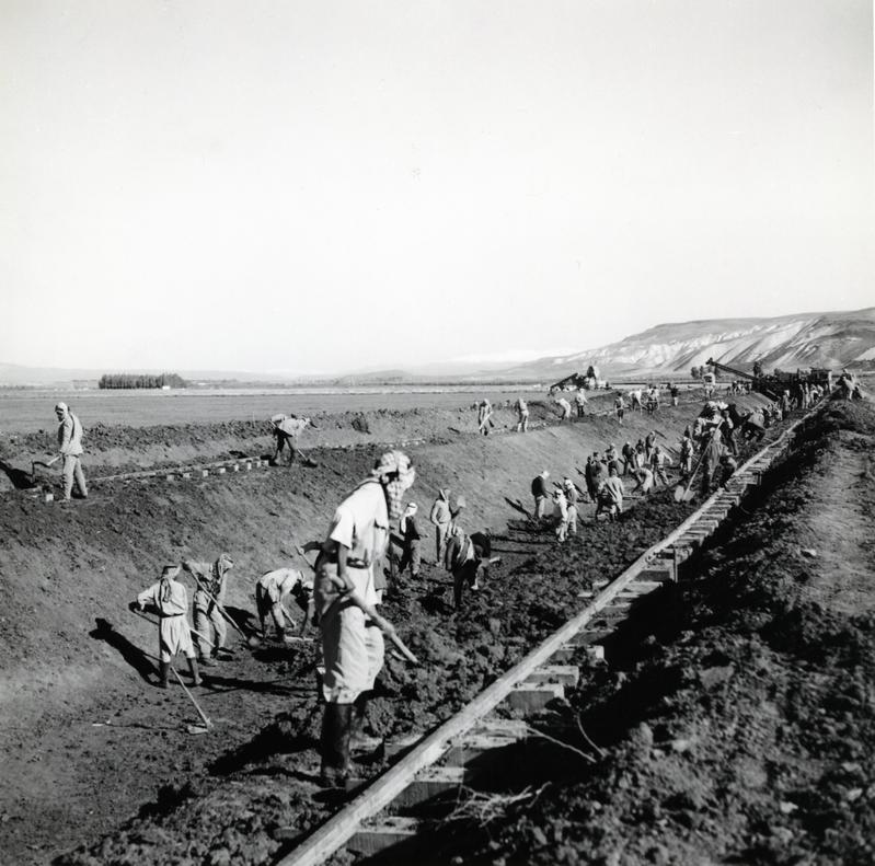 momapix_183780_pos_1