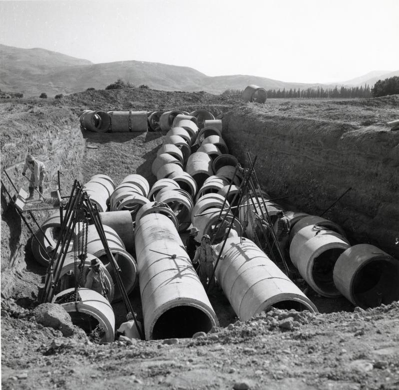 momapix_183794_pos_17