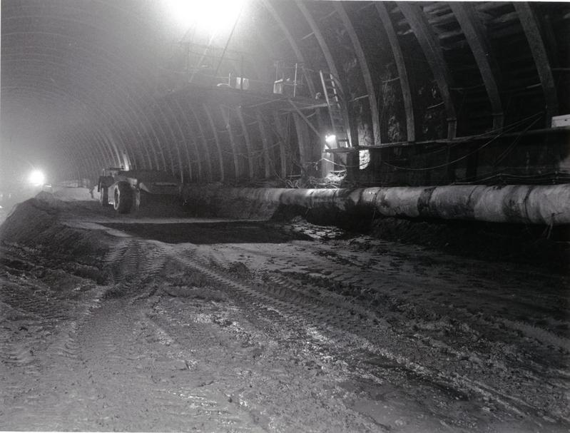 momapix_196242_pos_25