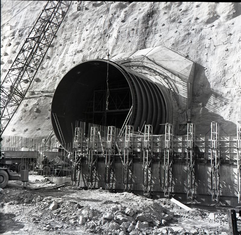 momapix_197204_pos_15