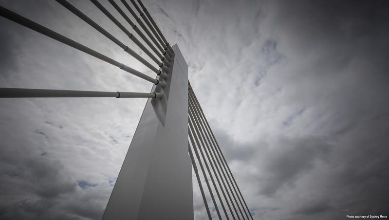 momapix_208202_pos_6