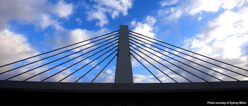 momapix_208215_pos_4