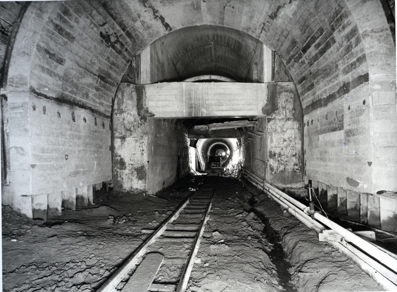 momapix_215276_pos_40