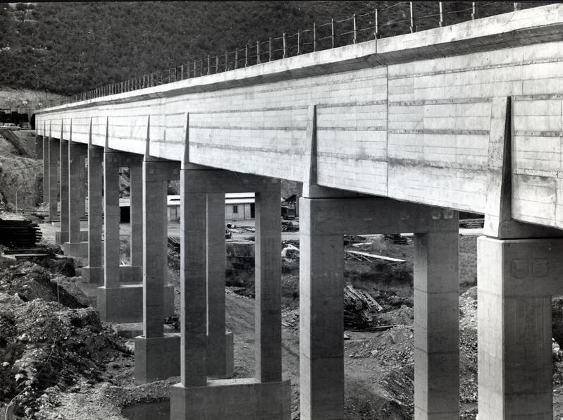 momapix_215294_pos_25