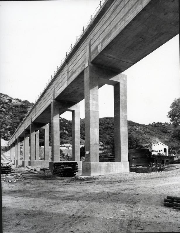 momapix_215301_pos_21