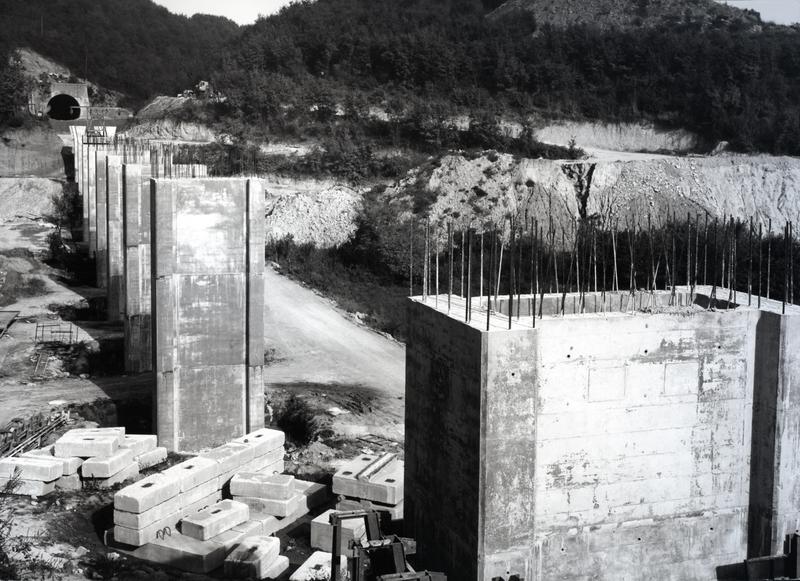 momapix_217429_pos_96