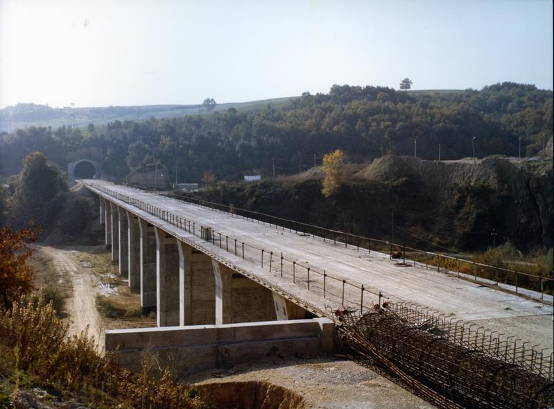 momapix_217447_pos_101