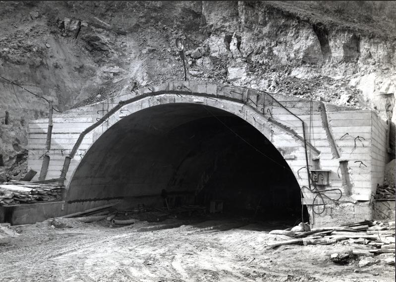 momapix_217463_pos_66