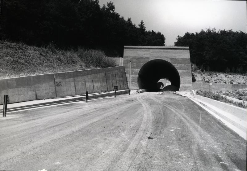 momapix_217476_pos_73