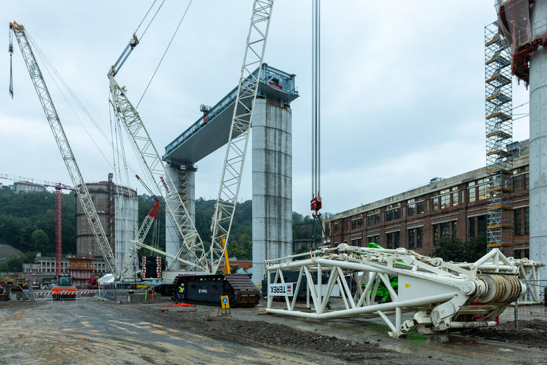 momapix_228335_pos_81