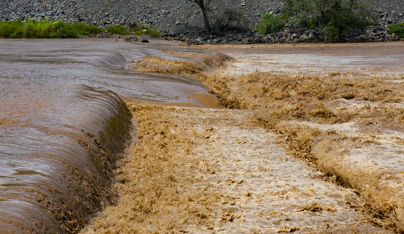 momapix_235389_pos_19