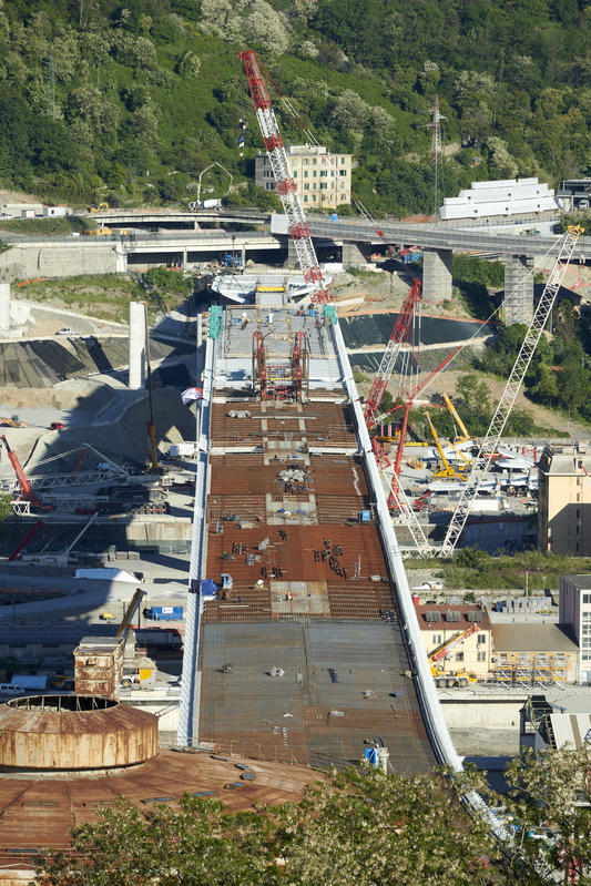 momapix_237504_pos_117