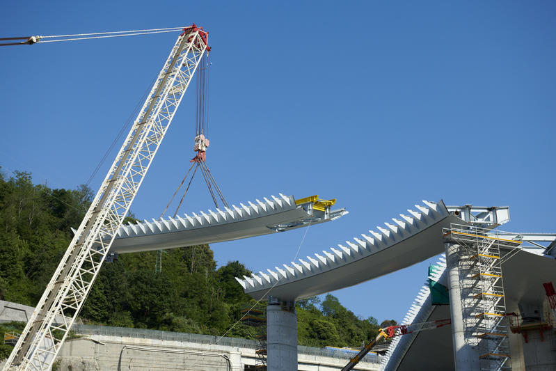 momapix_237865_pos_116