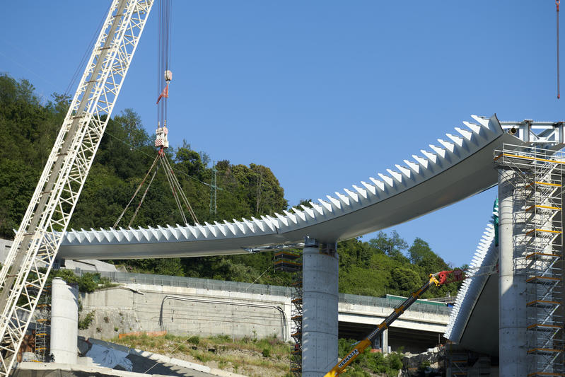 momapix_237876_pos_112