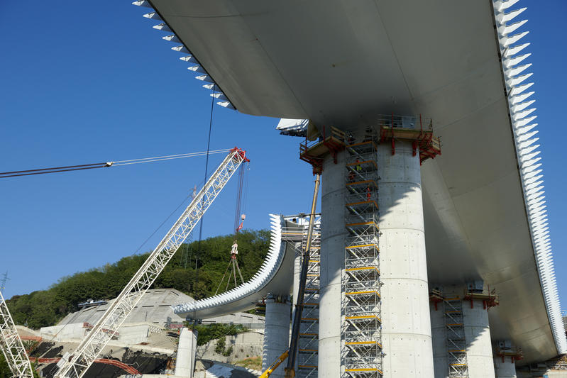 momapix_237885_pos_113