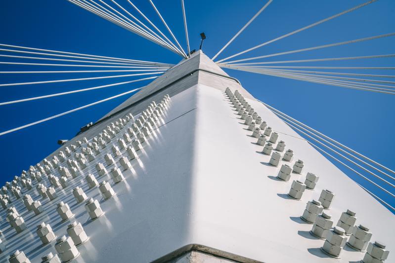 momapix_239952_pos_11