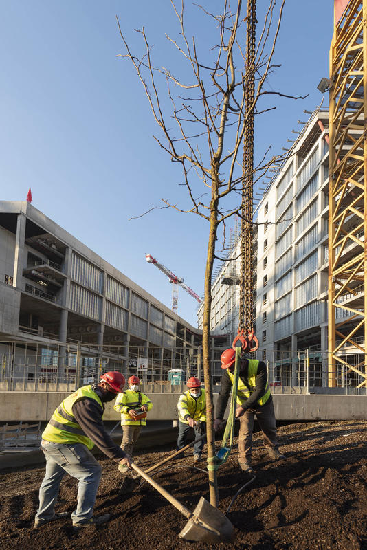 momapix_242219_pos_73