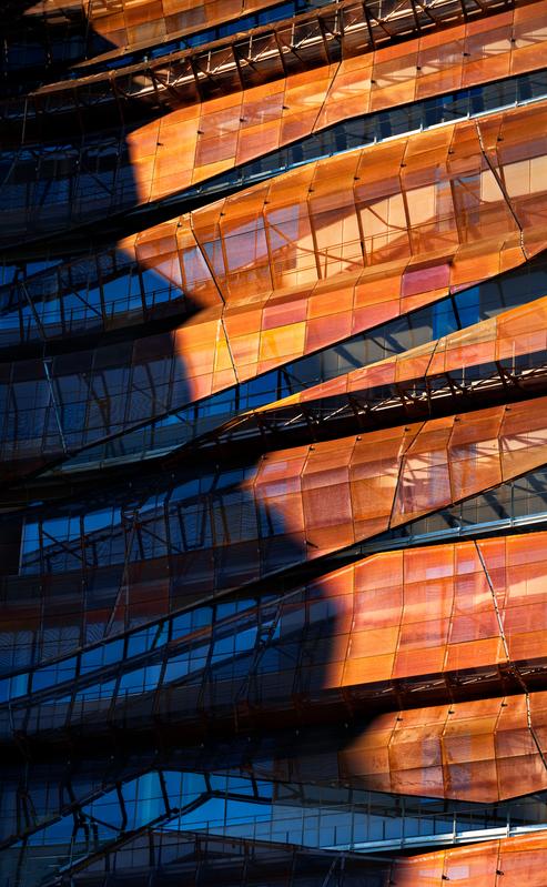 momapix_368803_pos_13