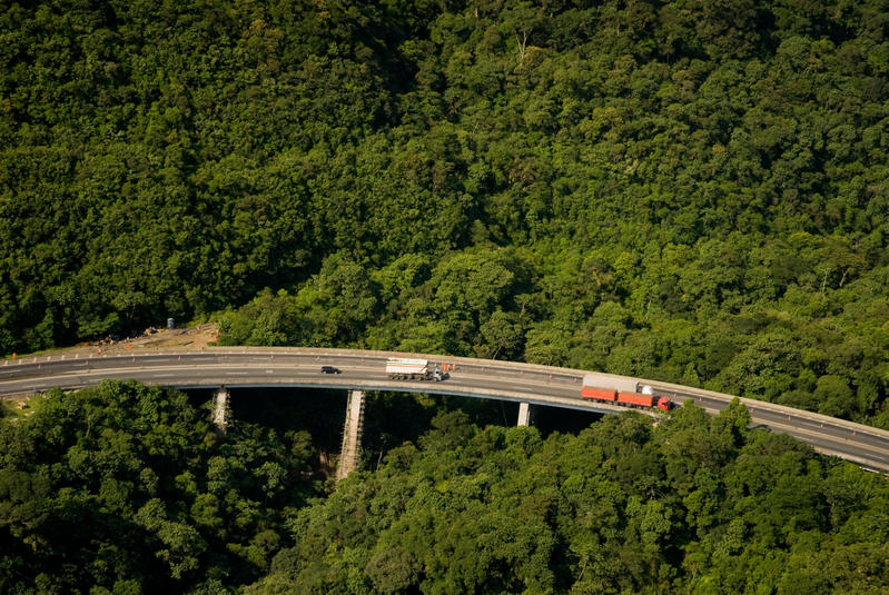 momapix_38667_pos_20