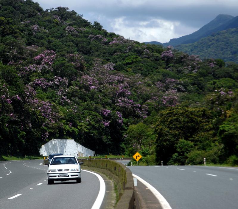 momapix_38686_pos_13