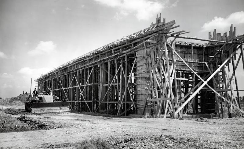 momapix_414451_pos_81