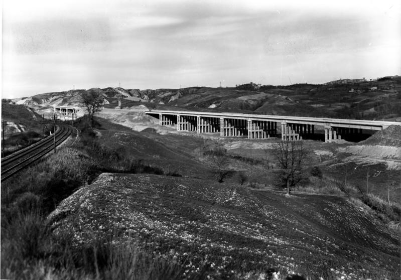 momapix_414462_pos_51