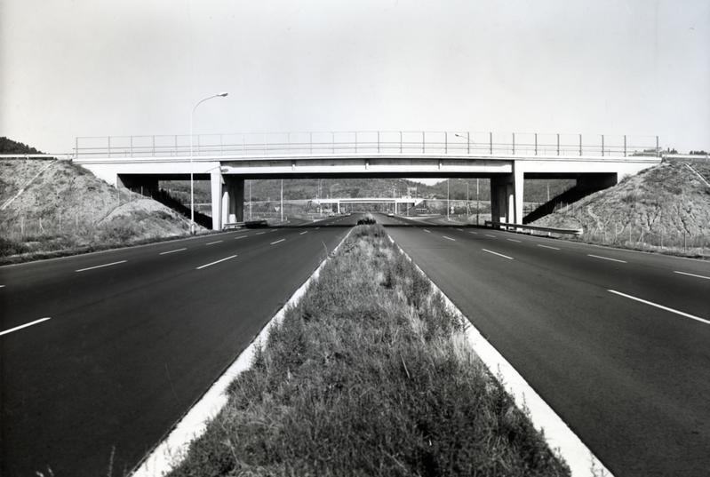 momapix_414489_pos_1