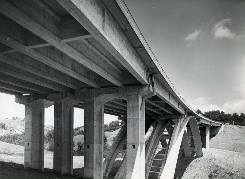 momapix_414499_pos_36