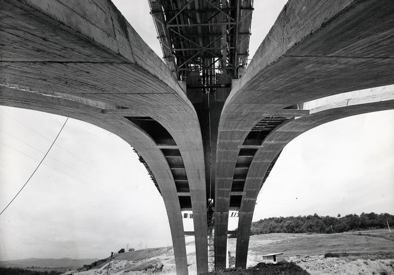 momapix_414506_pos_23