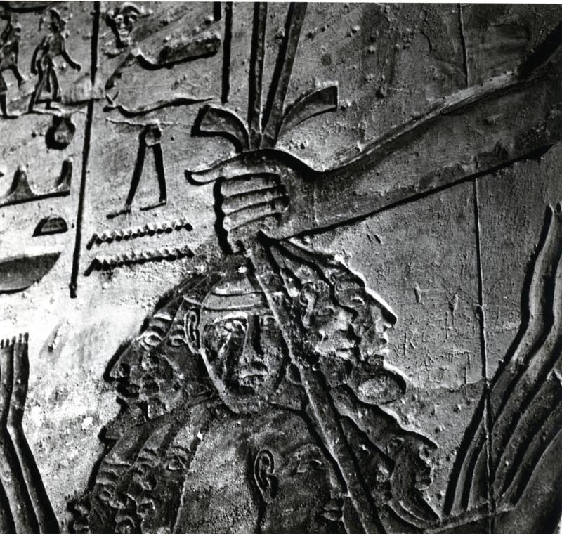 momapix_414611_pos_102