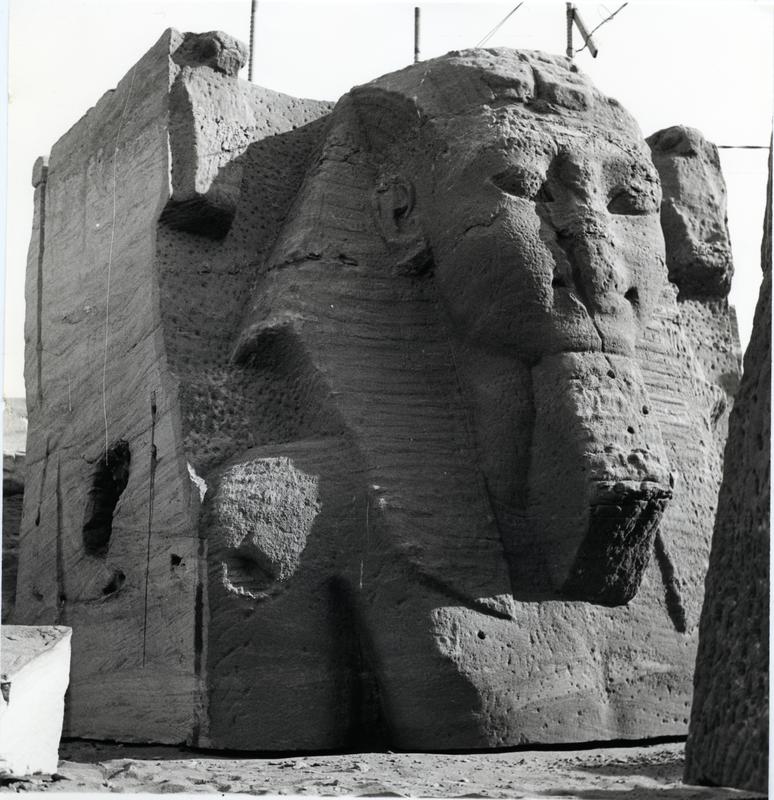 momapix_414744_pos_21