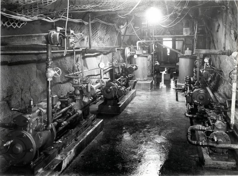 momapix_420088_pos_37