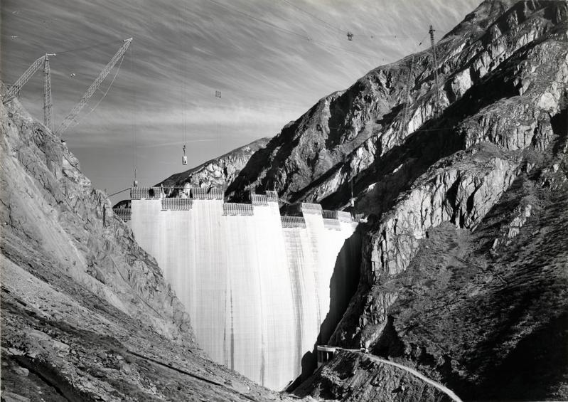 momapix_420162_pos_24