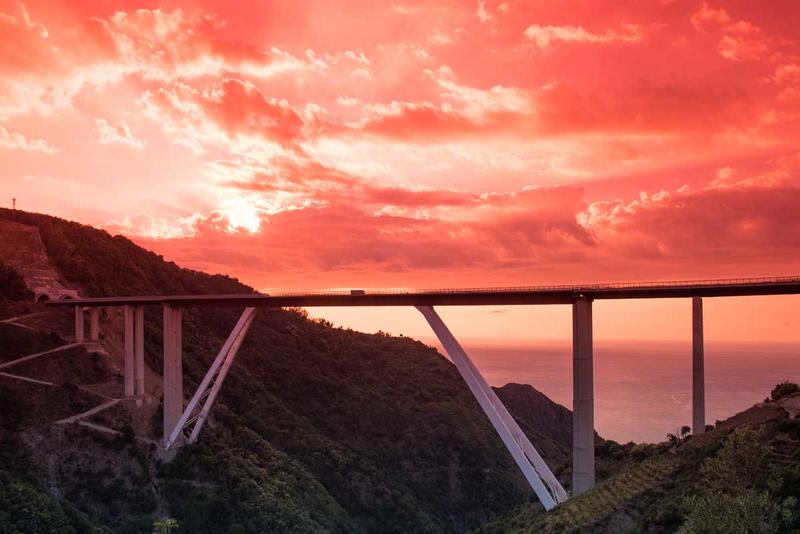 momapix_426795_pos_81