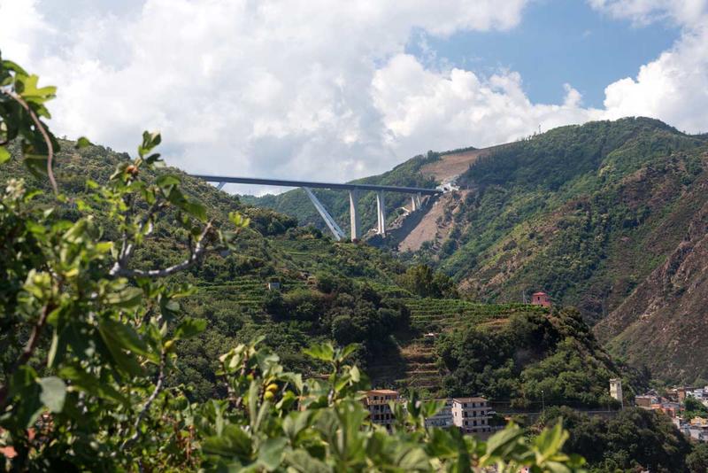 momapix_426828_pos_41