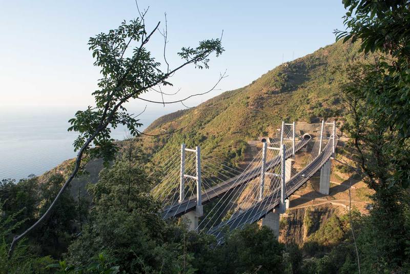 momapix_426907_pos_93