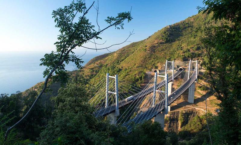 momapix_426909_pos_68