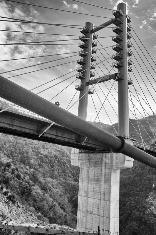 momapix_426919_pos_11