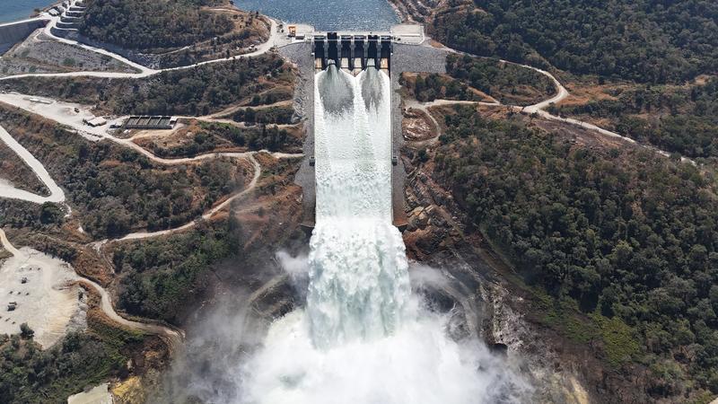 momapix_435646_pos_1