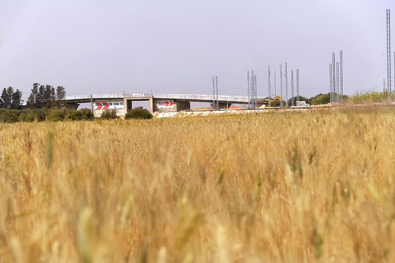 momapix_438733_pos_25