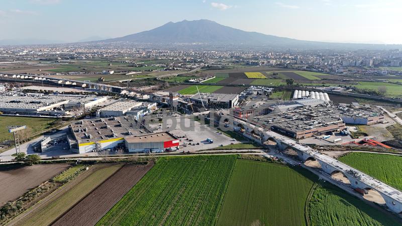 momapix_440235_pos_49