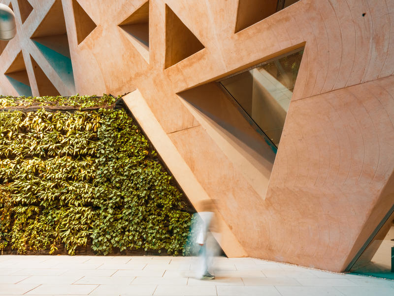 momapix_440868_pos_117