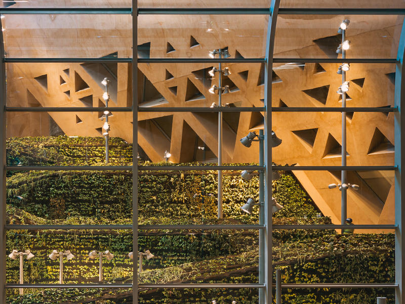 momapix_440877_pos_122